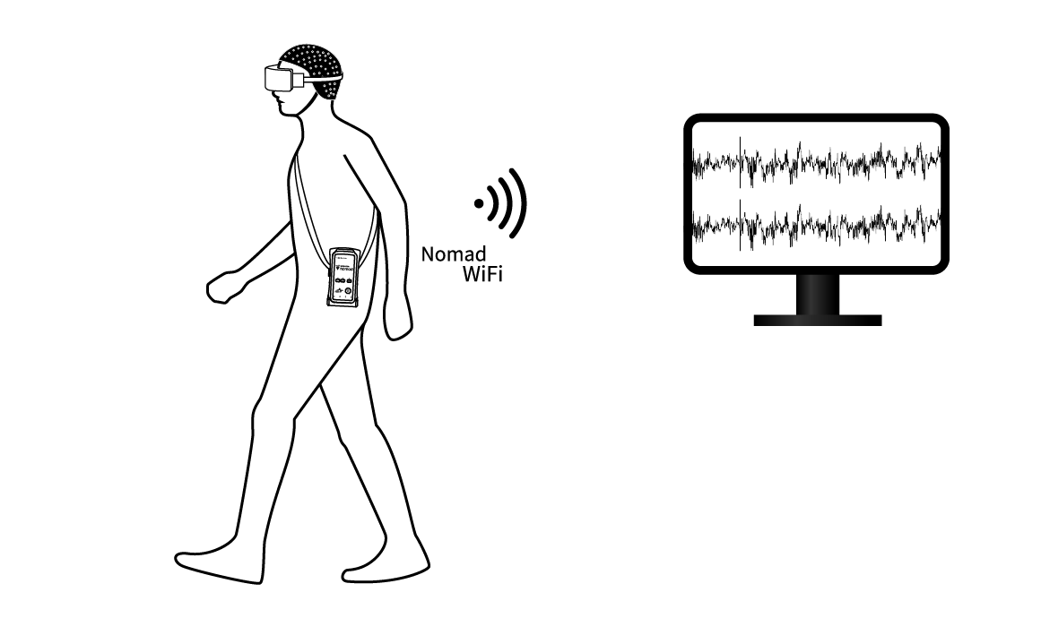 Human EEG