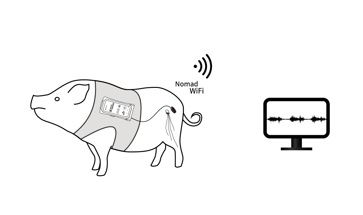 implantable recording large animal applications
