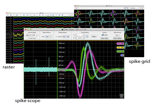 Custom Neuroscience Research Tools - Ripple Neuro